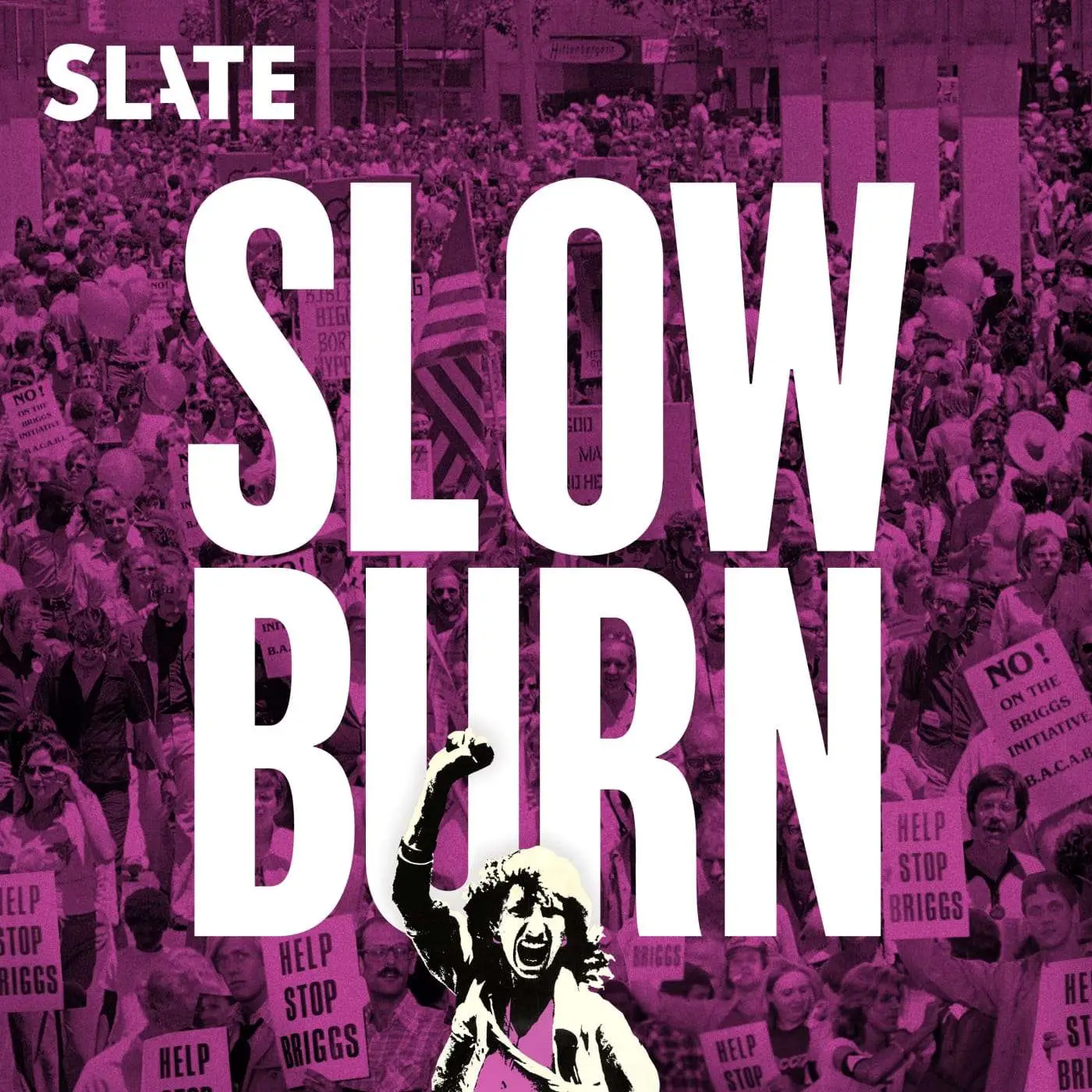 Slow Burn podcast cover art