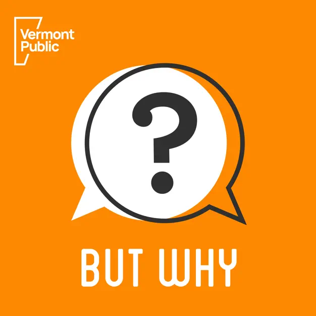 But why podcast logo